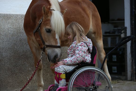 Ein Mädchen in einem Rollstuhl streichelt ein Pferd, das seinen Kopf zu dem Mädchen herunterbeugt.